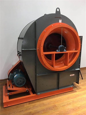 濟南好色先生TV在线观看罩